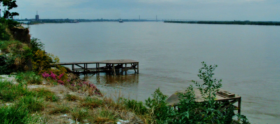 Pesca Deportiva en Rosario